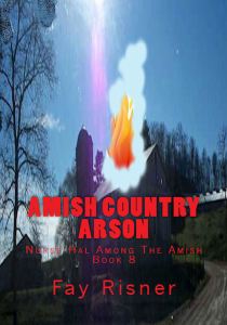 Amish Country Arson front x